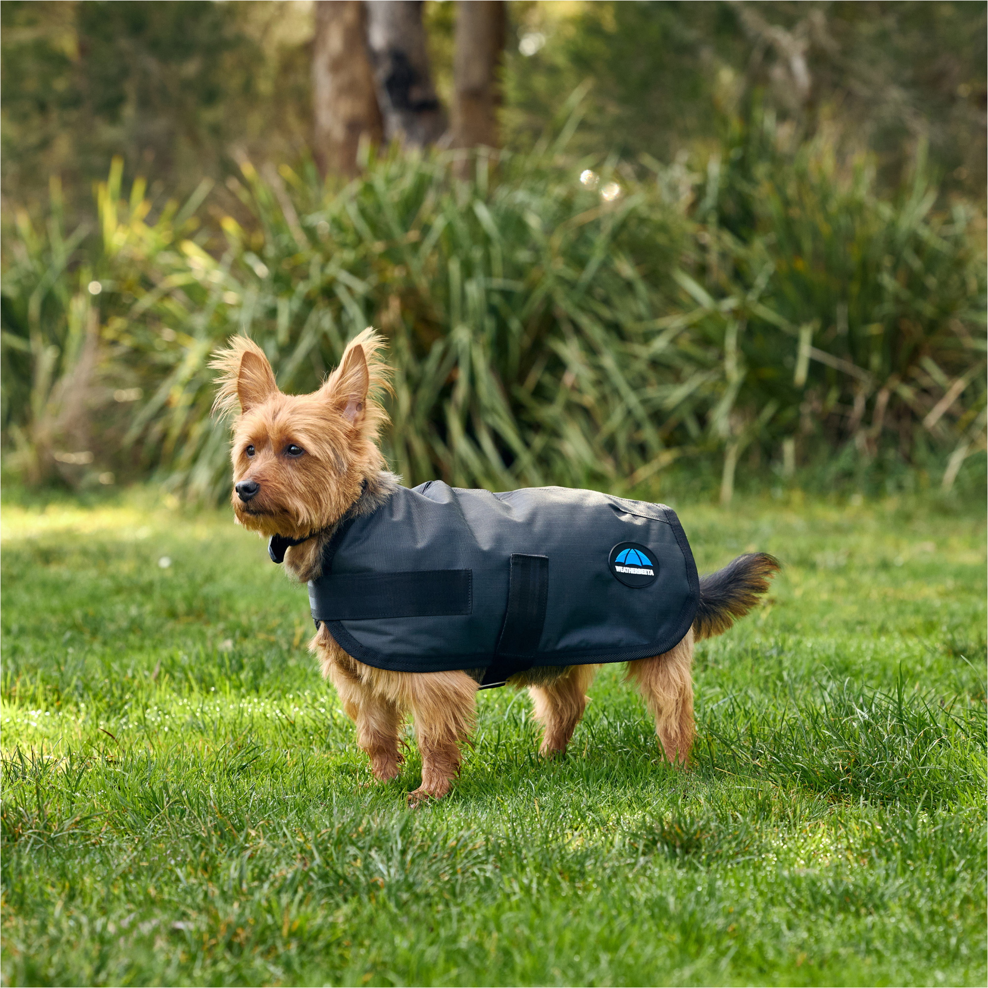 2025 Weatherbeeta Comfitec Classic Waterproof Dog Coat 1029048 - Charcoal